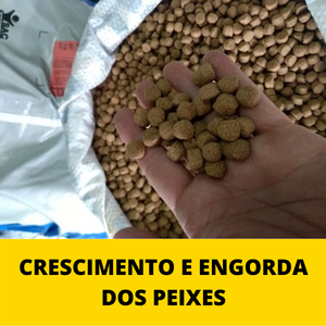 CRESCIMENTO-E-ENGORDA-DOS-PEIXES.png CRESCIMENTO-E-ENGORDA-DOS-PEIXES.png