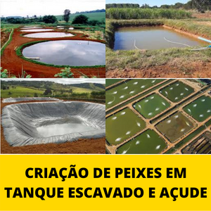CRIACAO-DE-peixes-EM-TANQUE-ESCAVADO-E-ACUDE.png CRIACAO-DE-peixes-EM-TANQUE-ESCAVADO-E-ACUDE.png
