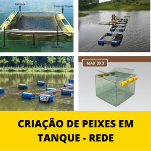 CRIACAO-DE-peixes-EM-TANQUE-REDE.png CRIACAO-DE-peixes-EM-TANQUE-REDE.png