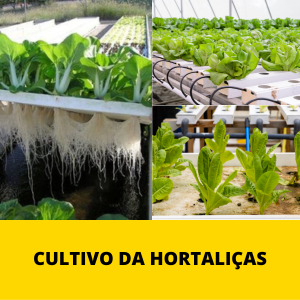 CULTIVO-DA-HORTALICAS.png CULTIVO-DA-HORTALICAS.png