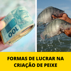 FORMAS-DE-LUCRAR-NA-CRIACAO-DE-PEIXE.png FORMAS-DE-LUCRAR-NA-CRIACAO-DE-PEIXE.png