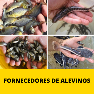 FORNECEDORES-DE-ALEVINOS-2.png FORNECEDORES-DE-ALEVINOS-2.png