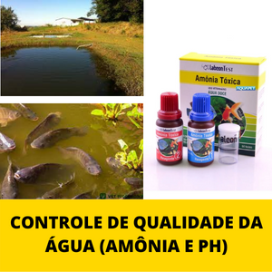 controle-de-qualidade-da-agua-amonia-e-ph.png controle-de-qualidade-da-agua-amonia-e-ph.png