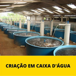 criacao-em-caixa-dagua.png criacao-em-caixa-dagua.png