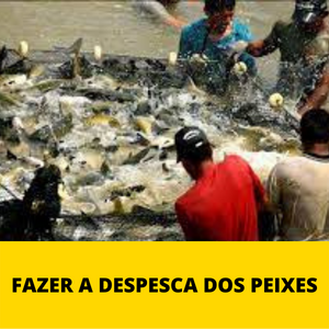 fazer-a-despesca-dos-peixes-1.png fazer-a-despesca-dos-peixes-1.png