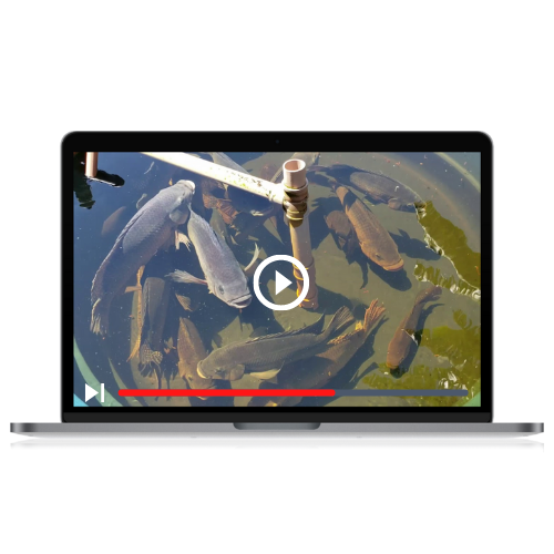 Design-sem-nome-18.png Design-sem-nome-18.png