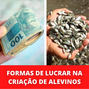 FORMAS-DE-LUCRAR-NA-CRIACAO-DE-ALEVINOS-1-1.png FORMAS-DE-LUCRAR-NA-CRIACAO-DE-ALEVINOS-1-1.png