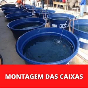 MONTAGEM-DAS-CAIXAS.png MONTAGEM-DAS-CAIXAS.png