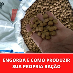 PRODUZIR-SUA-PROPRIA-RACAO.png PRODUZIR-SUA-PROPRIA-RACAO.png