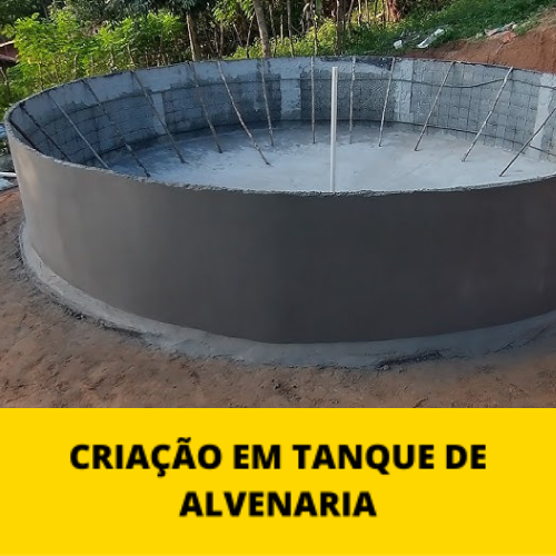 alvenaria-mpf-2.0.png alvenaria-mpf-2.0.png