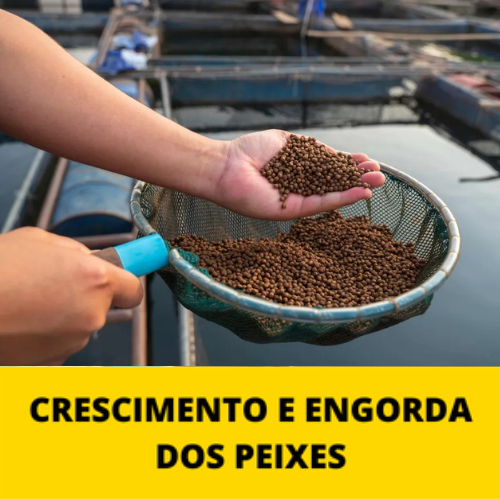 engorda-mpf-2.0.png engorda-mpf-2.0.png