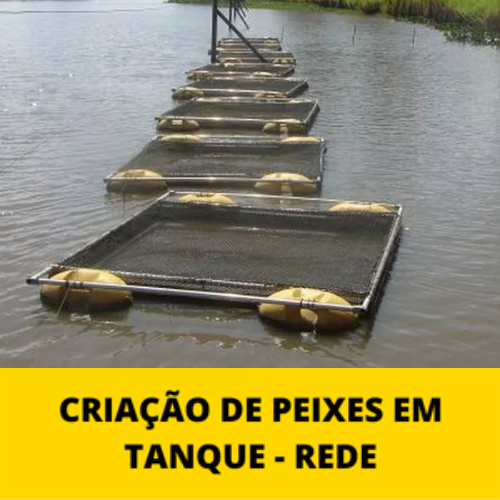 tanque-rede-mpf-2.0.png tanque-rede-mpf-2.0.png